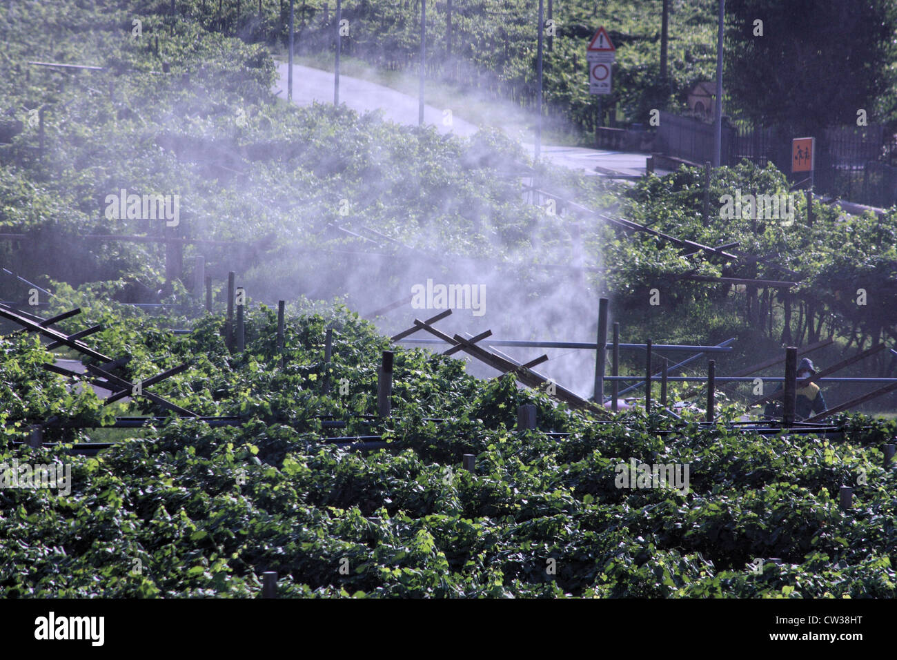 La pulvérisation de pesticides Banque D'Images