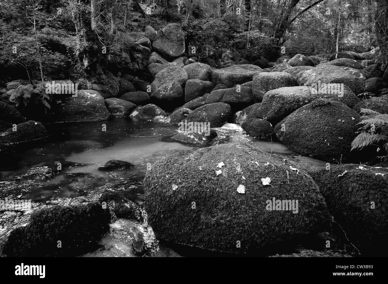 Horsham étapes sur la rivière Teign à Lustleigh Cleave. Banque D'Images