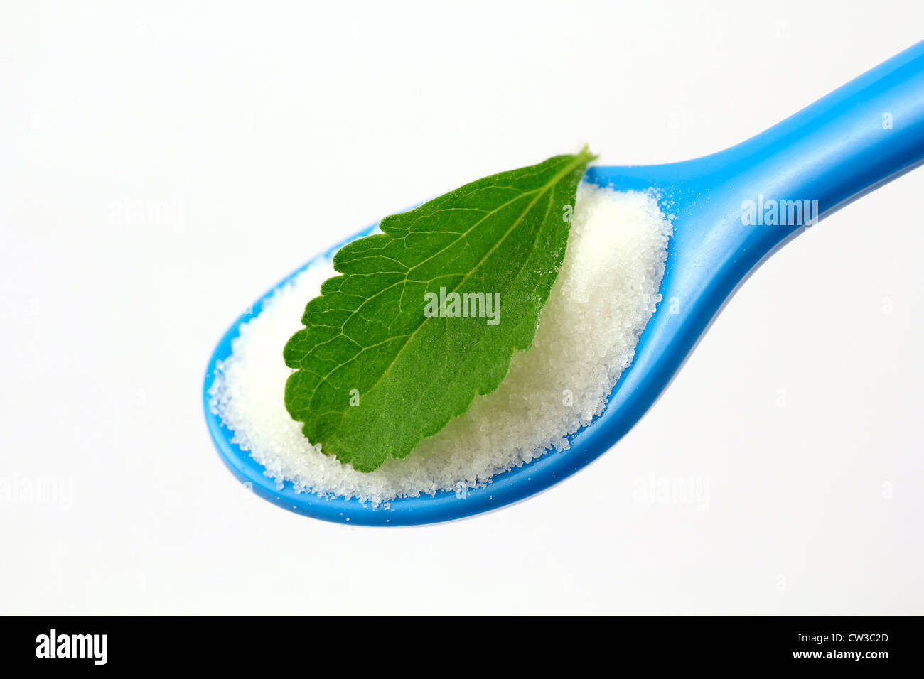 L'herbe douce. Le Stevia rebaudiana Banque D'Images