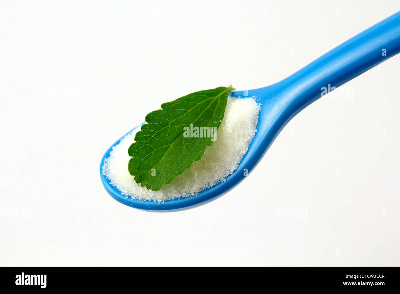 L'herbe douce. Le Stevia rebaudiana Banque D'Images