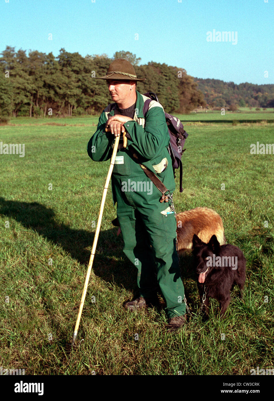 Themar, un berger avec ses chiens Schaefer Banque D'Images