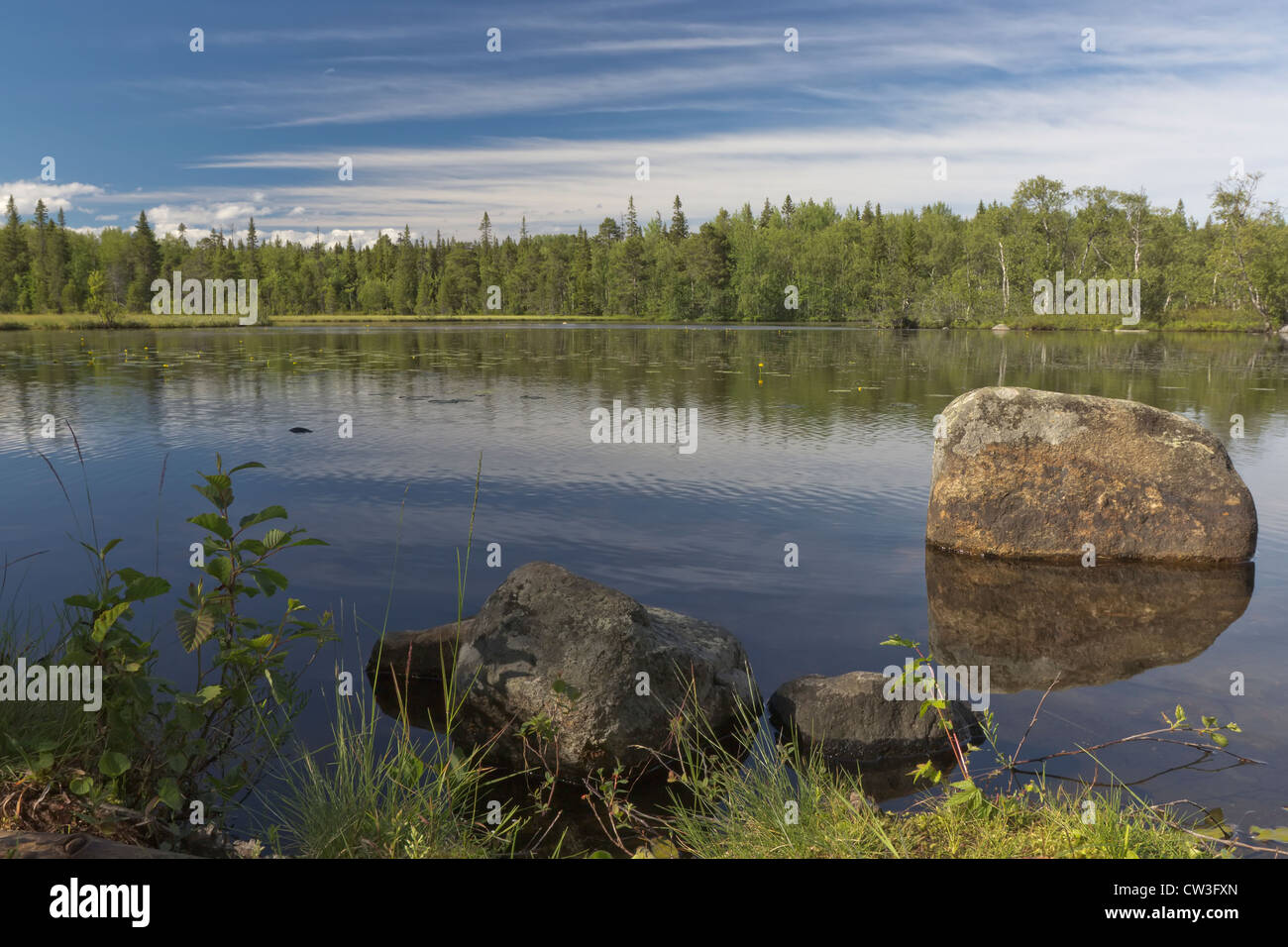 Des pierres dans la forêt Lake Banque D'Images