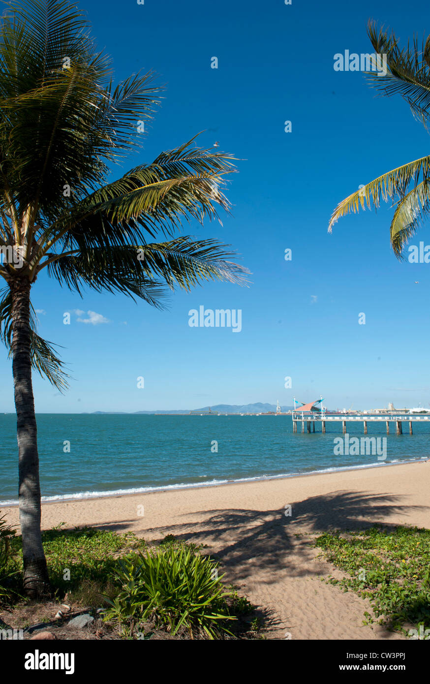 Vue sur la plage principale de Townsville Le Strand avec des baies de sable, des palmiers, et jetée de pêche, Tropical North Queensland, Australie Banque D'Images