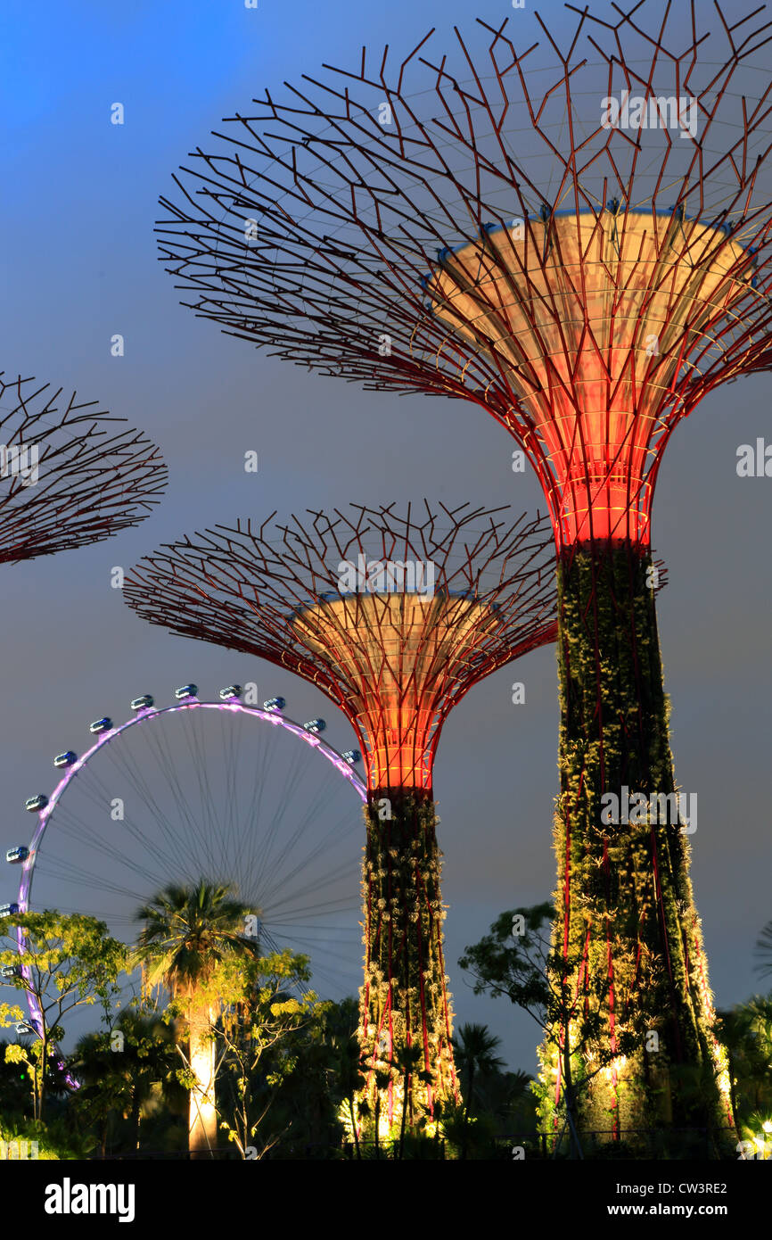 Supertrees lumineux dans les jardins de par la baie de Singapour avec le Singapore Flyer en arrière-plan. Banque D'Images