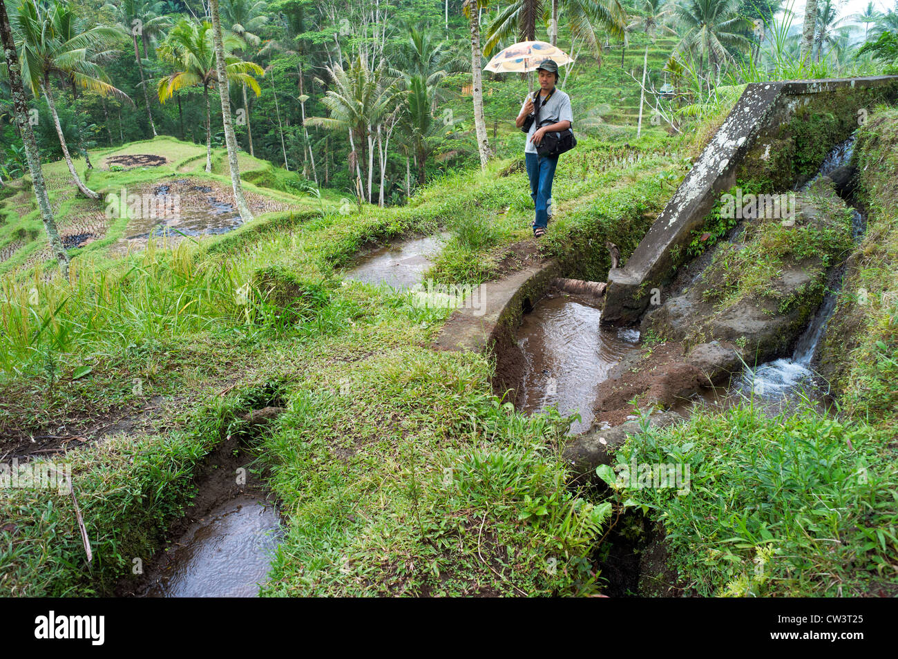 Un touriste avec un parapluie et de l'appareil photo à l'eau des canaux d'irrigation dans le de Tampak Siring Subaks Banque D'Images