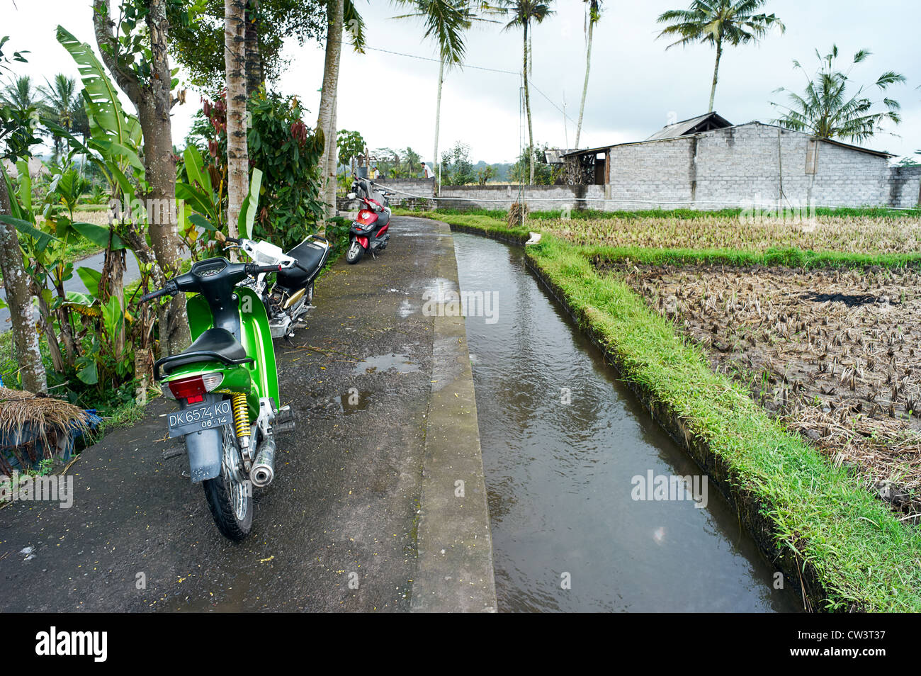 Les motos et scooters garés le long des canaux d'irrigation de l'eau dans les rizières de l'de Tampak Siring Subaks Banque D'Images