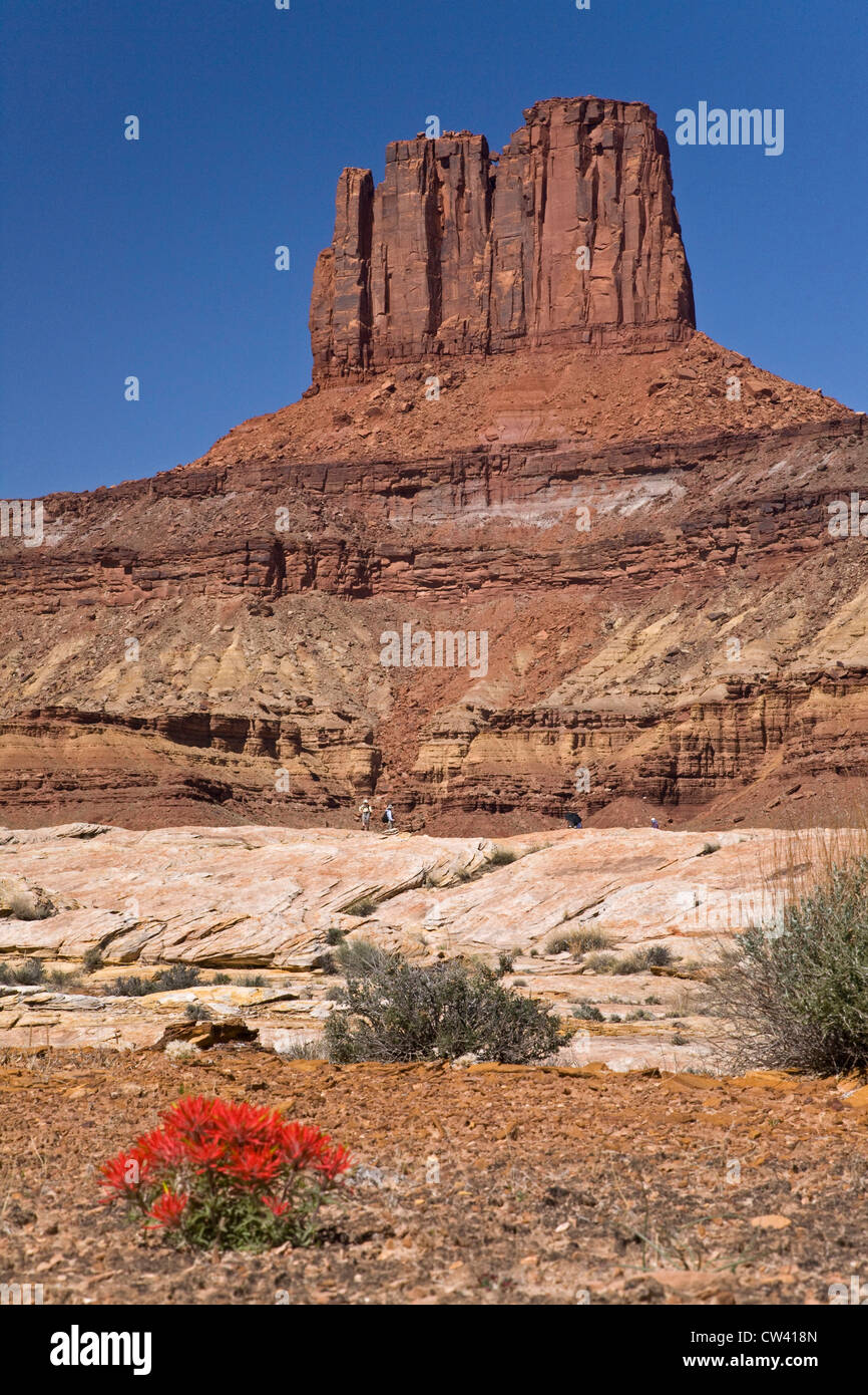 Rock formations sur un paysage, Canyonlands National Park, Utah, USA Banque D'Images