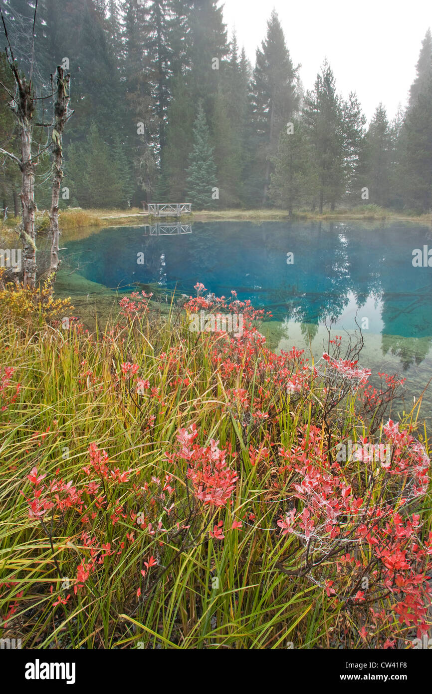 Lac dans une forêt, lac de cratère, Mount Hood National Park, Portland, Oregon, USA Banque D'Images