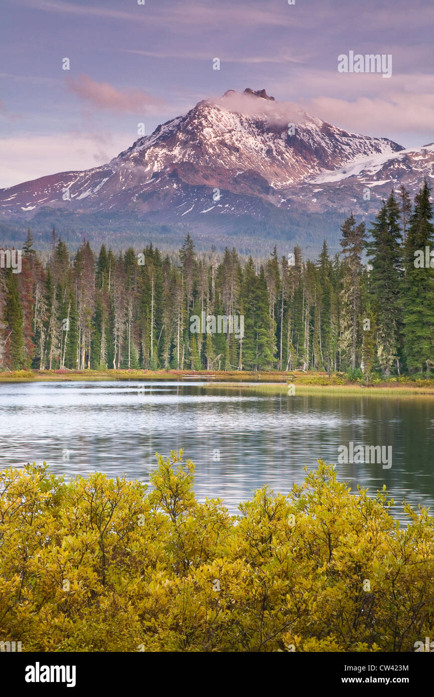 Lac d'arbres en face d'une montagne, Scott Lake, forêt nationale de Willamette, Oregon, USA Banque D'Images