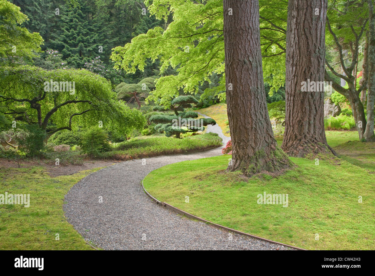 USA, Washington, Bainbridge Island, Bloedel Reserve, sentier Banque D'Images