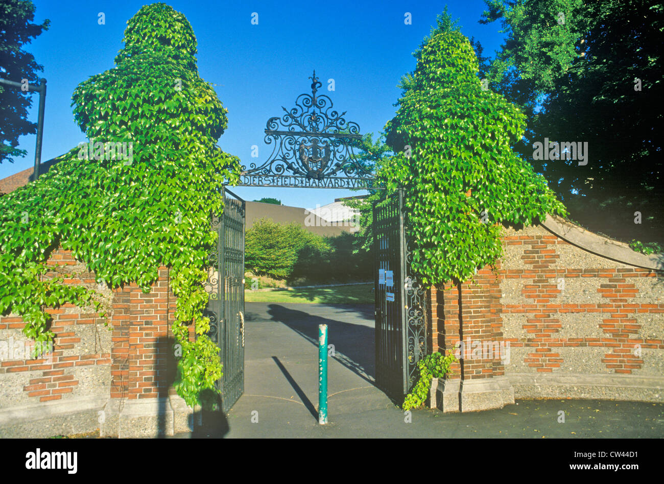 L'Université de Harvard, Cambridge, Massachusetts Banque D'Images