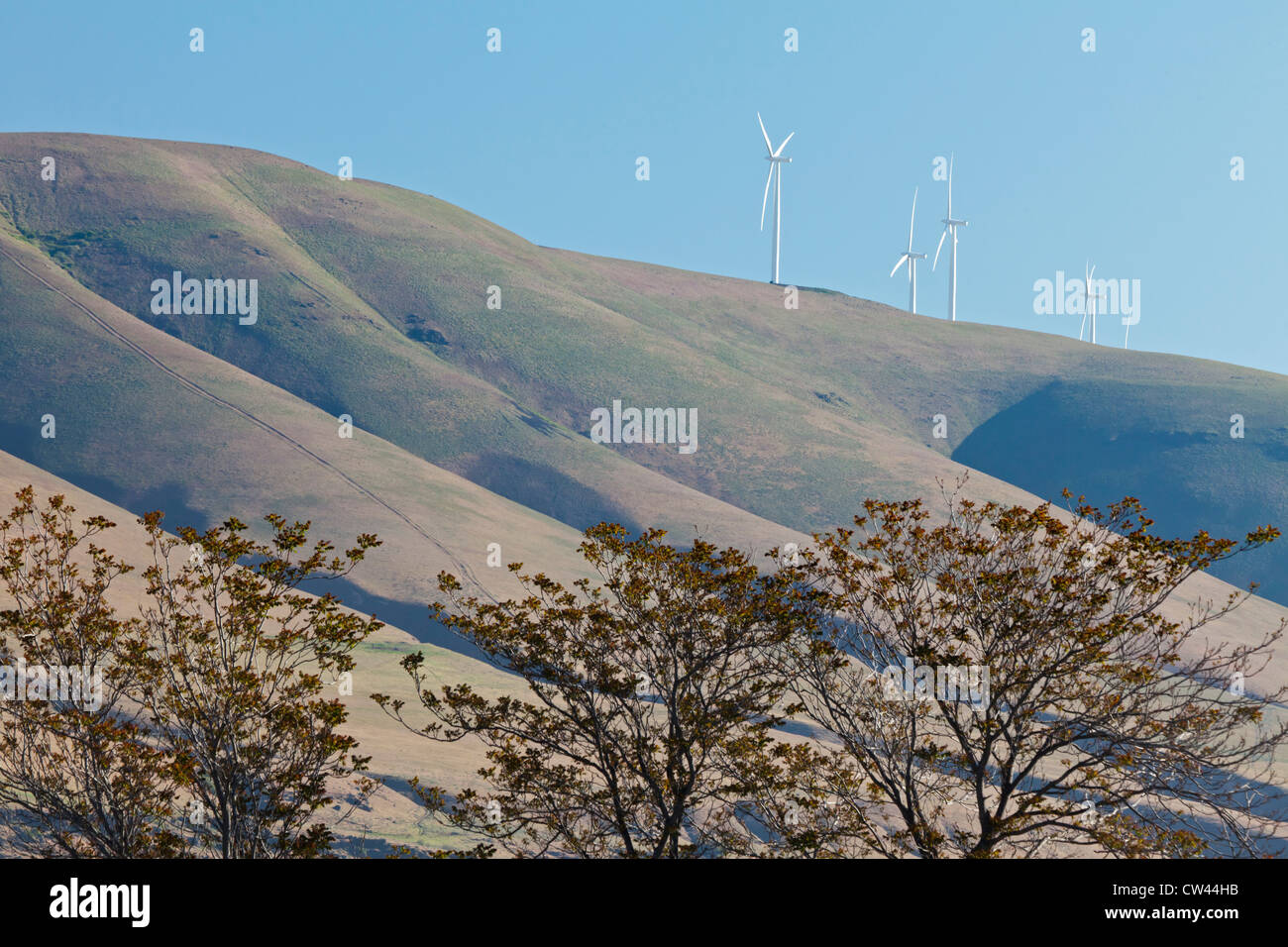 USA, New York, Columbia River State Park, Low angle view of wind turbines Banque D'Images