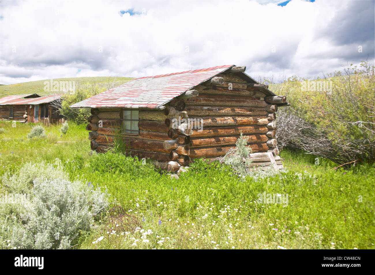 Old Homestead déserte en été dans la vallée du centenaire près de Lakeview, MT Banque D'Images