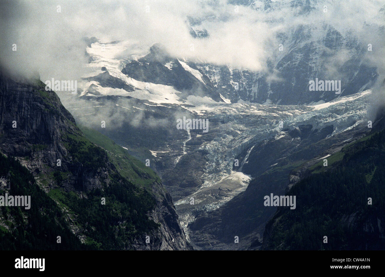 La Suisse. L'Oberer Grindelwaldgletscher au dessus de Grindelwald dans l'Oberland bernois. Banque D'Images