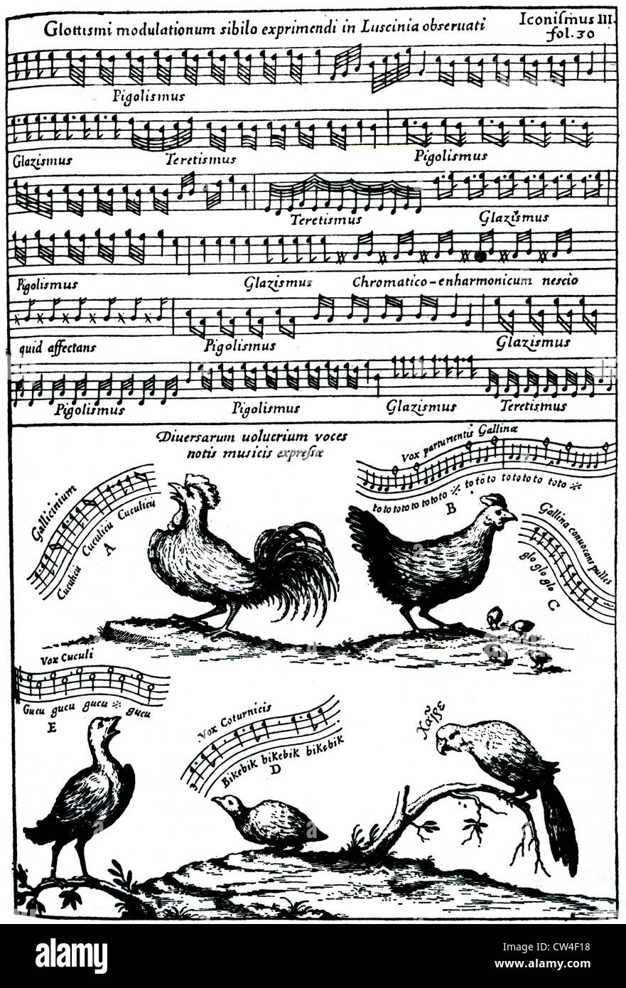 ATHANASIUS KIRCHER (1601/2-1680) Allemand 4400 1650 ransnotation 6 lignes de la chanson du rossignol Banque D'Images