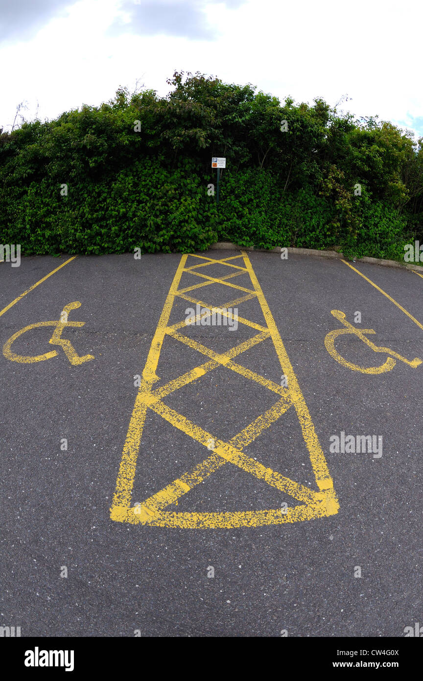 Des places handicapés peint en jaune dans un parking. Banque D'Images