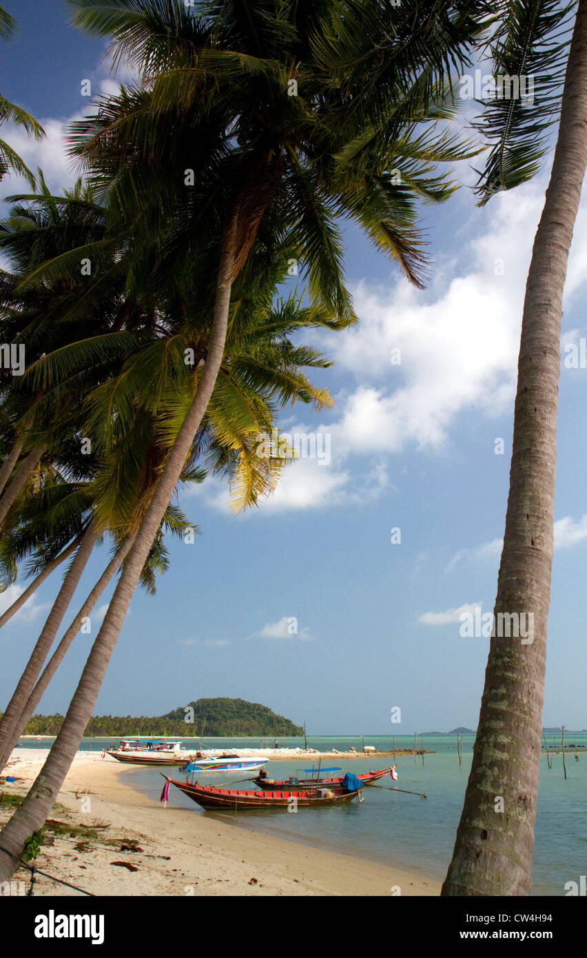 Bateaux de pêche dans le golfe de Thaïlande sur l'île de Ko Samui, Thaïlande. Banque D'Images