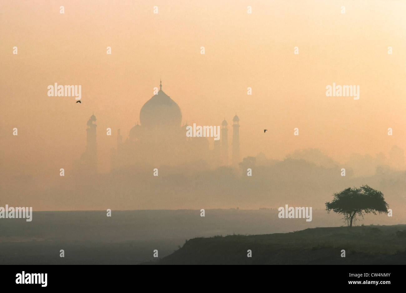 Taj Mahal à Agra Inde dawn Banque D'Images