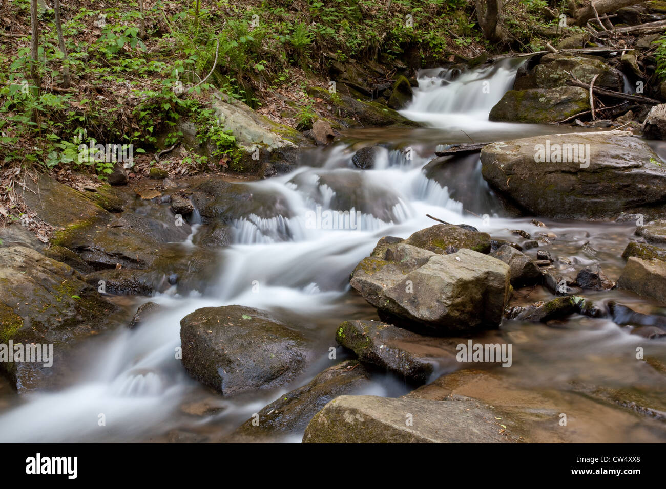 Cool, cascade rafraîchissante, descendant en rochers avec arbres et arbustes le chevet de l'eau débit chute Banque D'Images
