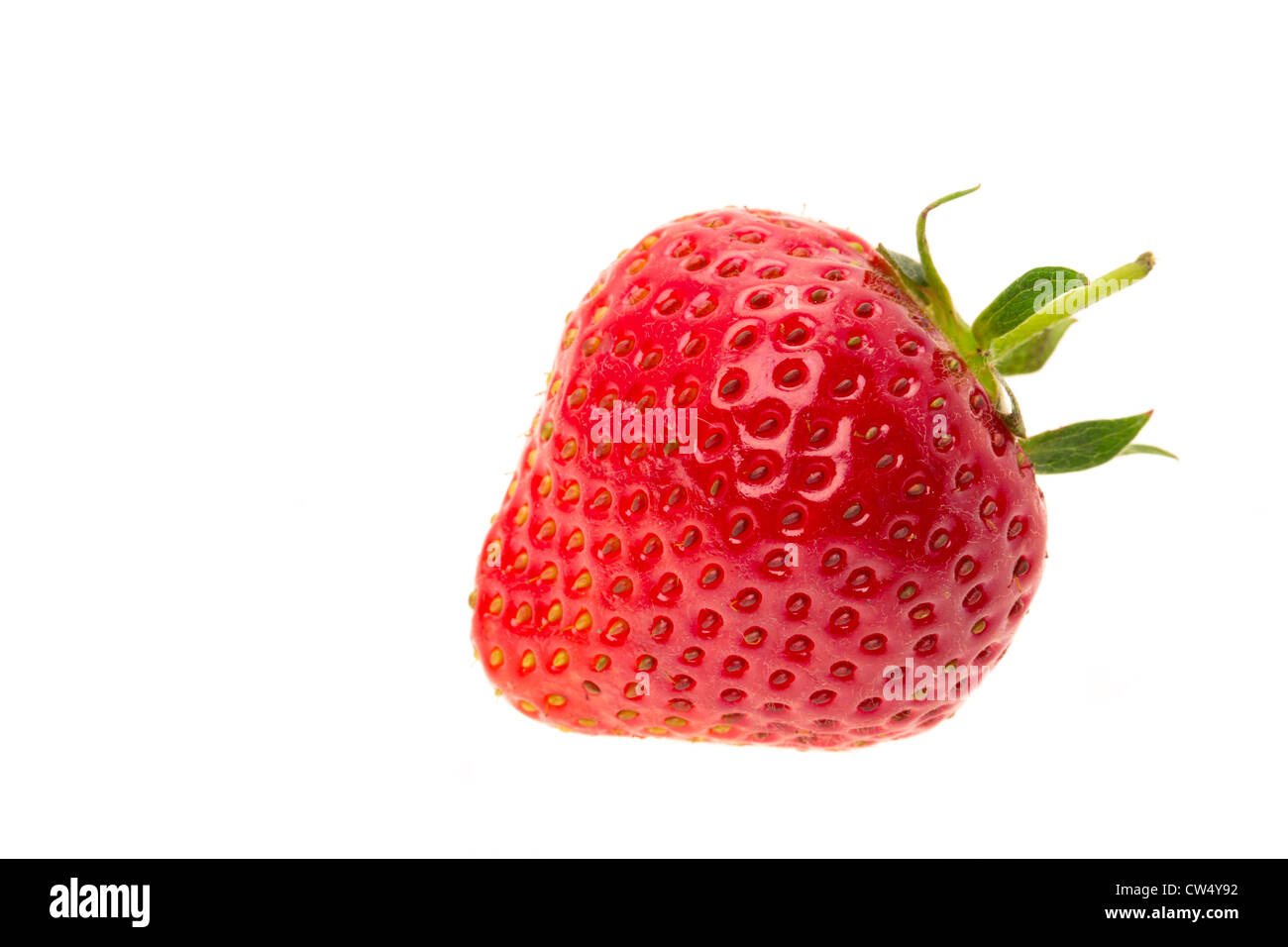 Des fraises fraîches - studio photo avec un fond blanc Banque D'Images