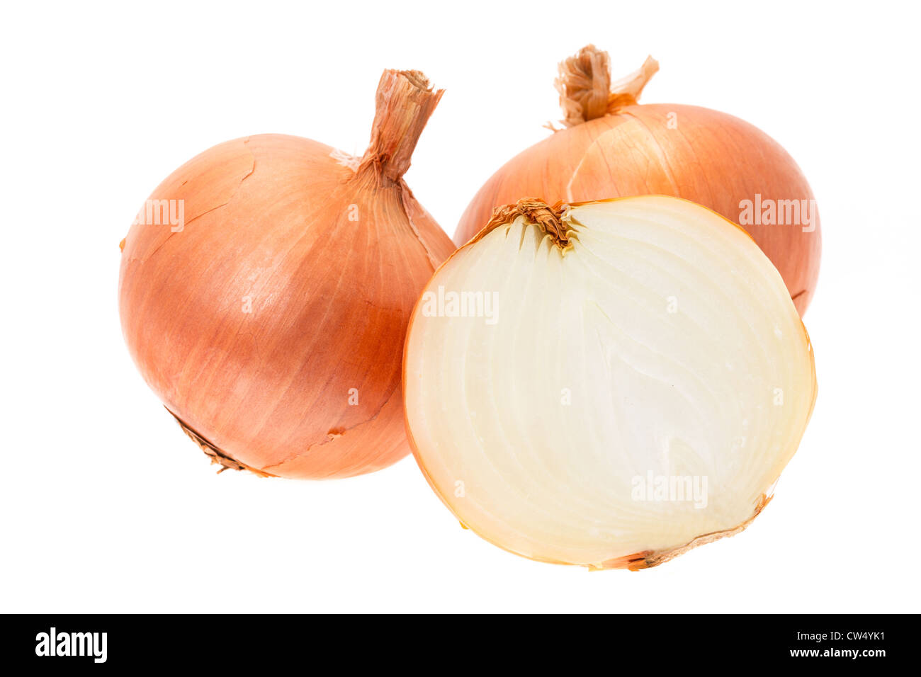 Deux et demi oignons blancs - studio photo avec un fond blanc Banque D'Images