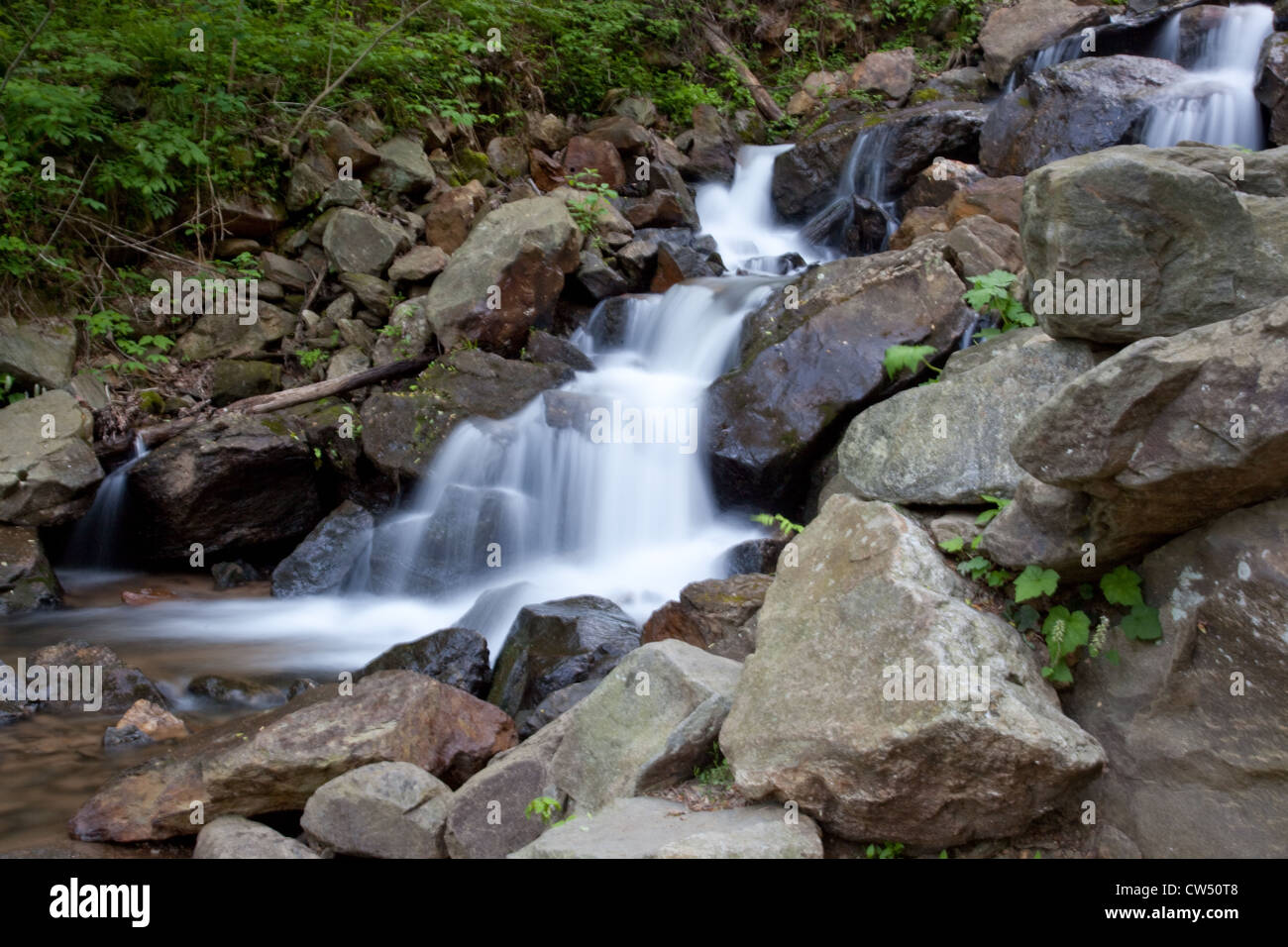 Cool, cascade rafraîchissante, descendant en rochers avec arbres et arbustes le chevet de l'eau débit chute Banque D'Images