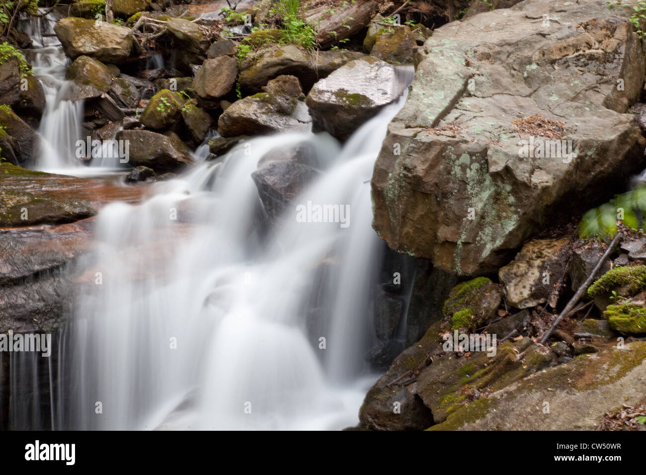 Cool, cascade rafraîchissante, descendant en rochers avec arbres et arbustes le chevet de l'eau débit chute Banque D'Images