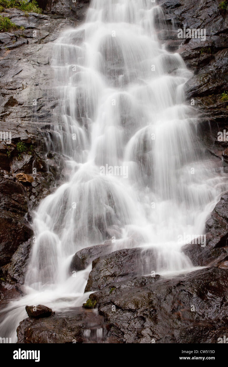 Cool, cascade rafraîchissante, descendant en rochers avec arbres et arbustes le chevet de l'eau débit chute Banque D'Images