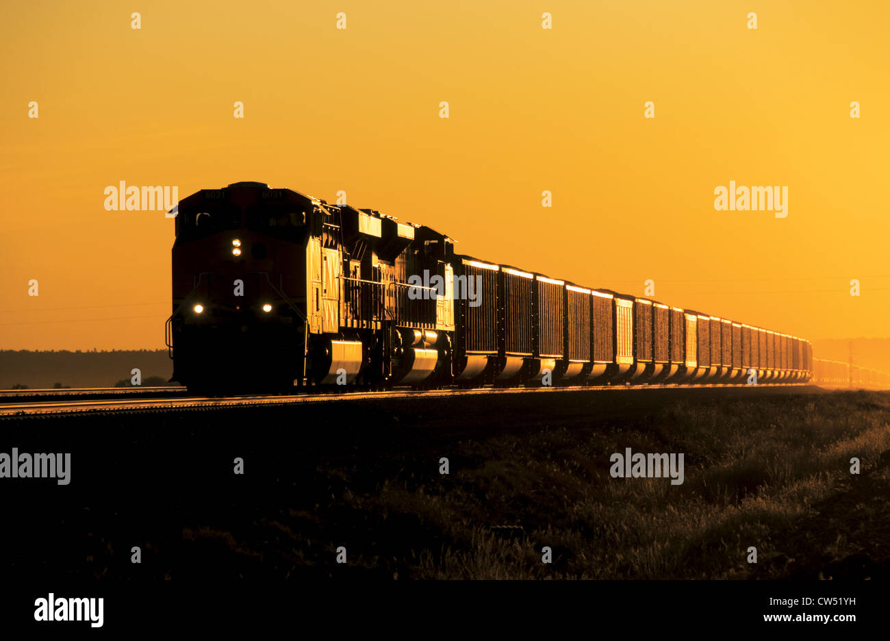 Train de charbon chargés au bassin de la rivière Powder, au Wyoming, au coucher du soleil vers l'en-tête Banque D'Images
