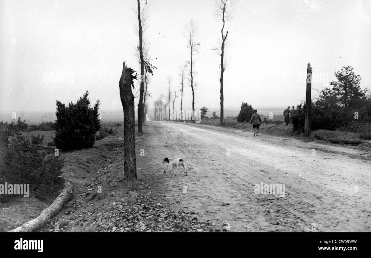 Une visite à l'avant, de bataille à proximité des marais de St-Fonds Banque D'Images