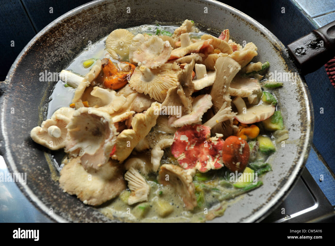 Sauté de champignons sauvages du nord( style curry keang hed pa) , champignons sauvages colorés ,Chiang Rai, Thaïlande du nord Banque D'Images