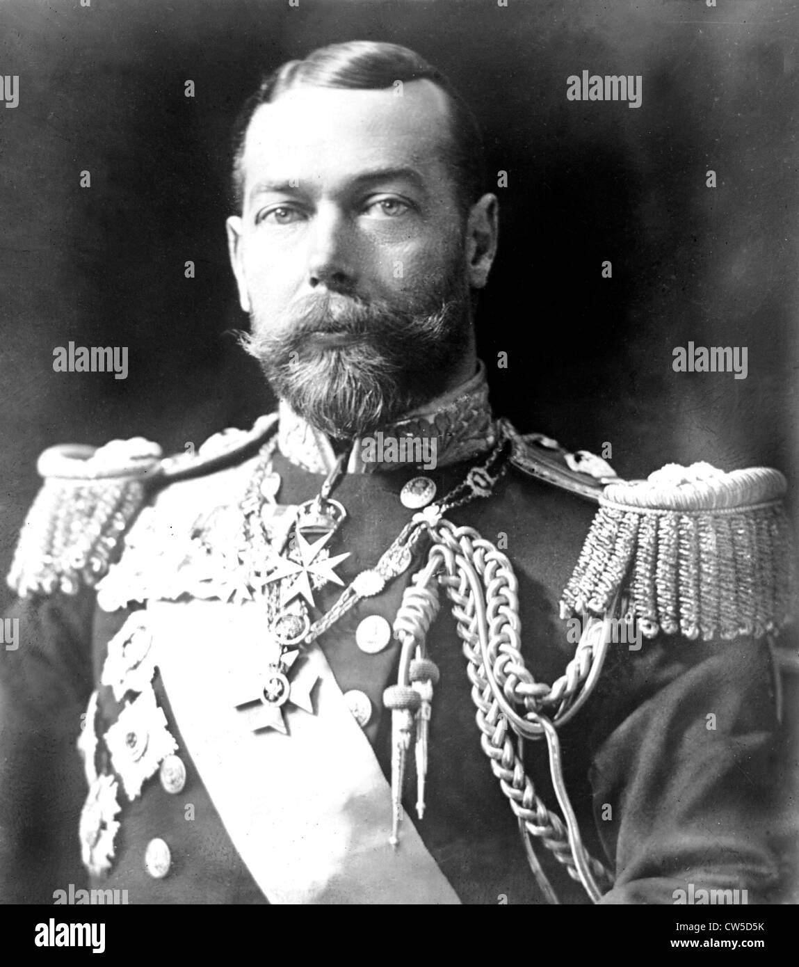 Portrait du tsar Nicolas II Banque D'Images