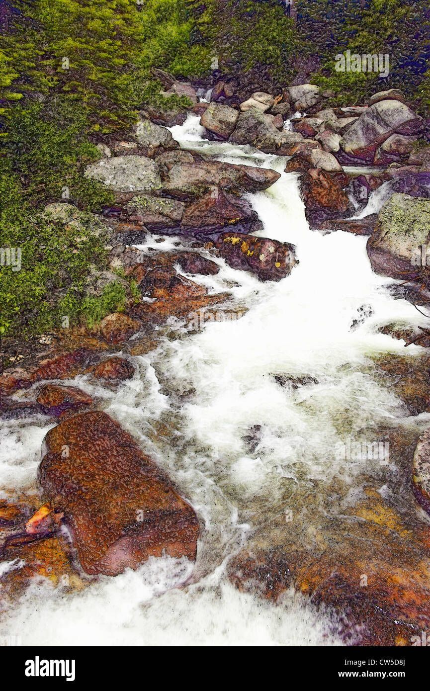 Image altérées du ruisseau qui par Payette National Forest près de McCall, New York Banque D'Images