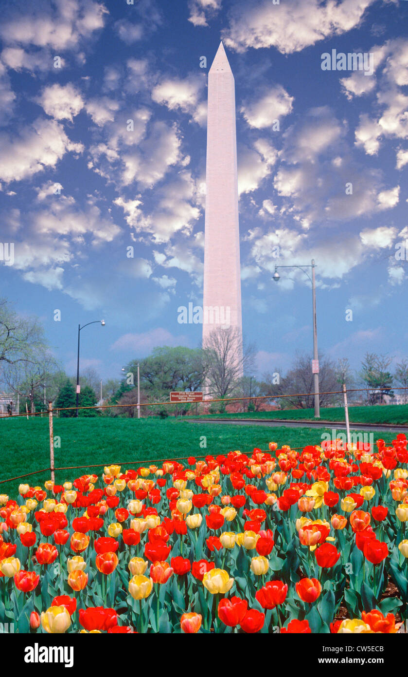 Image composite du Washington Monument et ciel bleu avec des nuages blancs puffy Banque D'Images