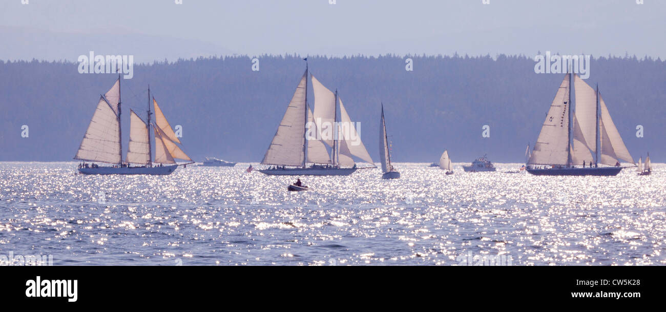 Les courses de voiliers dans l'océan, Port Townsend, Washington State, USA Banque D'Images
