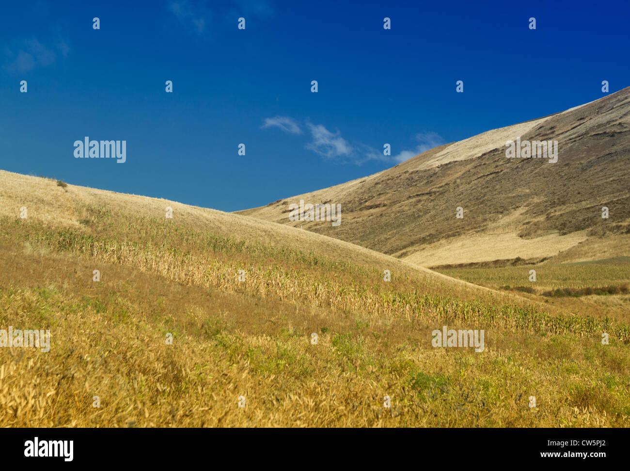 Paysage andin Banque D'Images