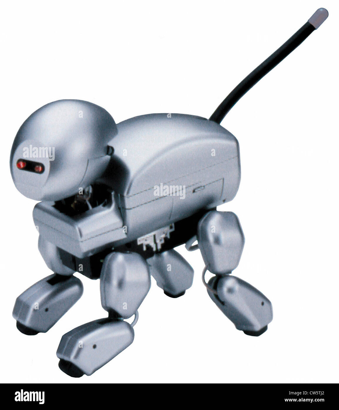 Chien robot Banque D'Images