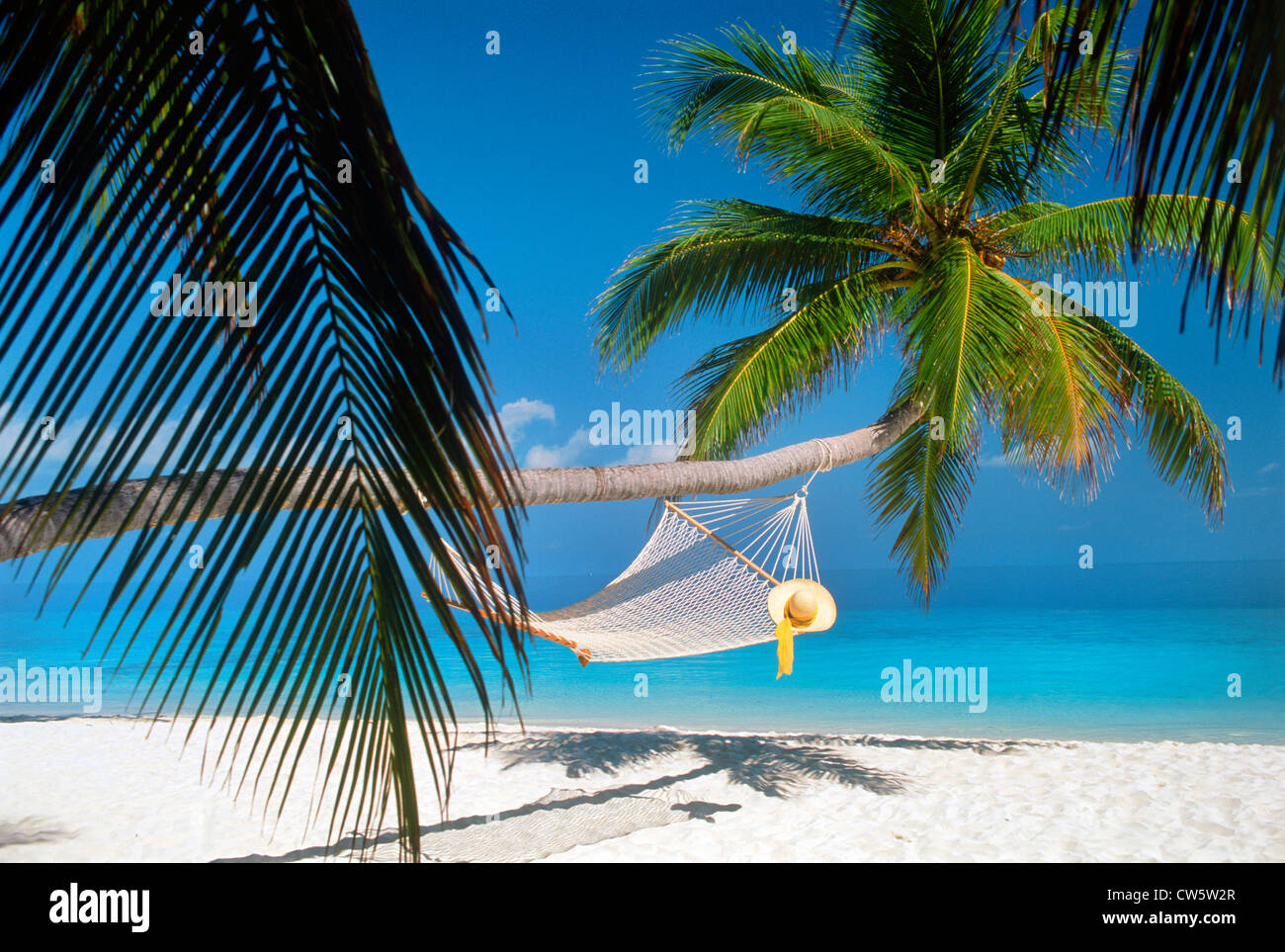 Hat reposant sur hamac suspendu sous vide palm long tronc d'arbre sur les rivages de sable blanc représentant vacances tropicales Banque D'Images