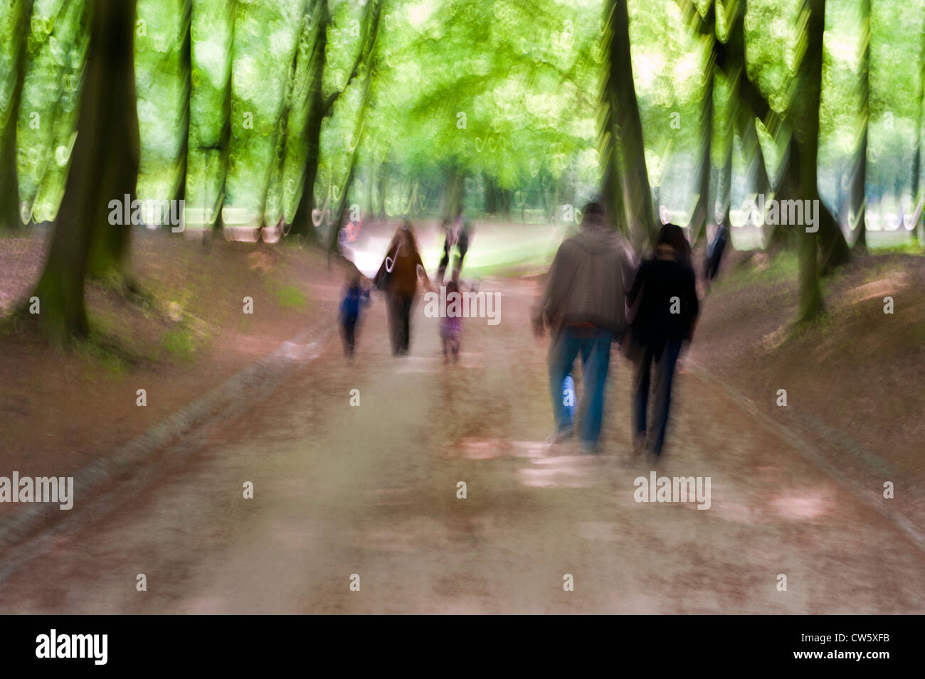 Une promenade dominicale dans les bois et le parc, Bruxelles, Belgique Banque D'Images