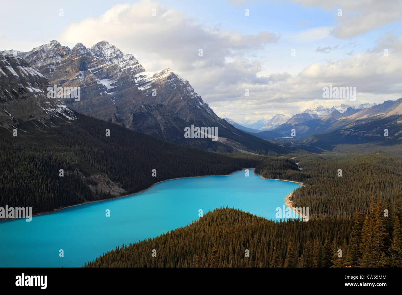 Le lac Peyto, Banff National Park Banque D'Images