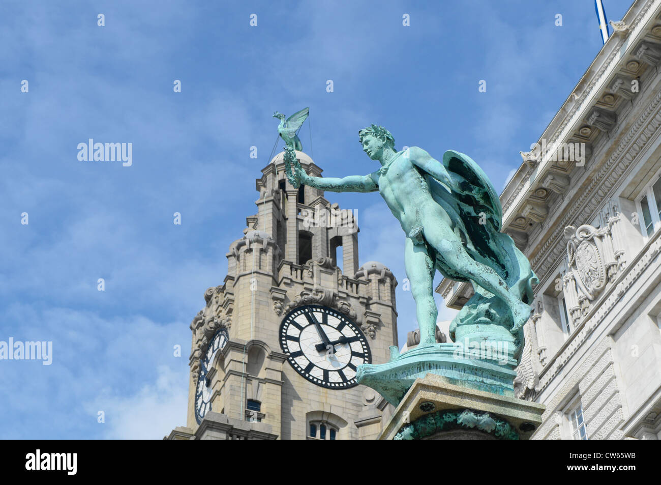 Liver Bird Fly Fly Banque D'Images