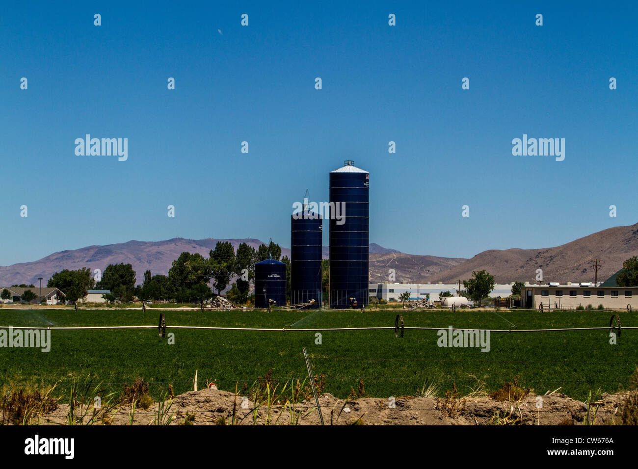 Ao Smith silos Harvestore et le champ de luzerne d'être irriguées avec une roue en ligne Minden Nevada Banque D'Images