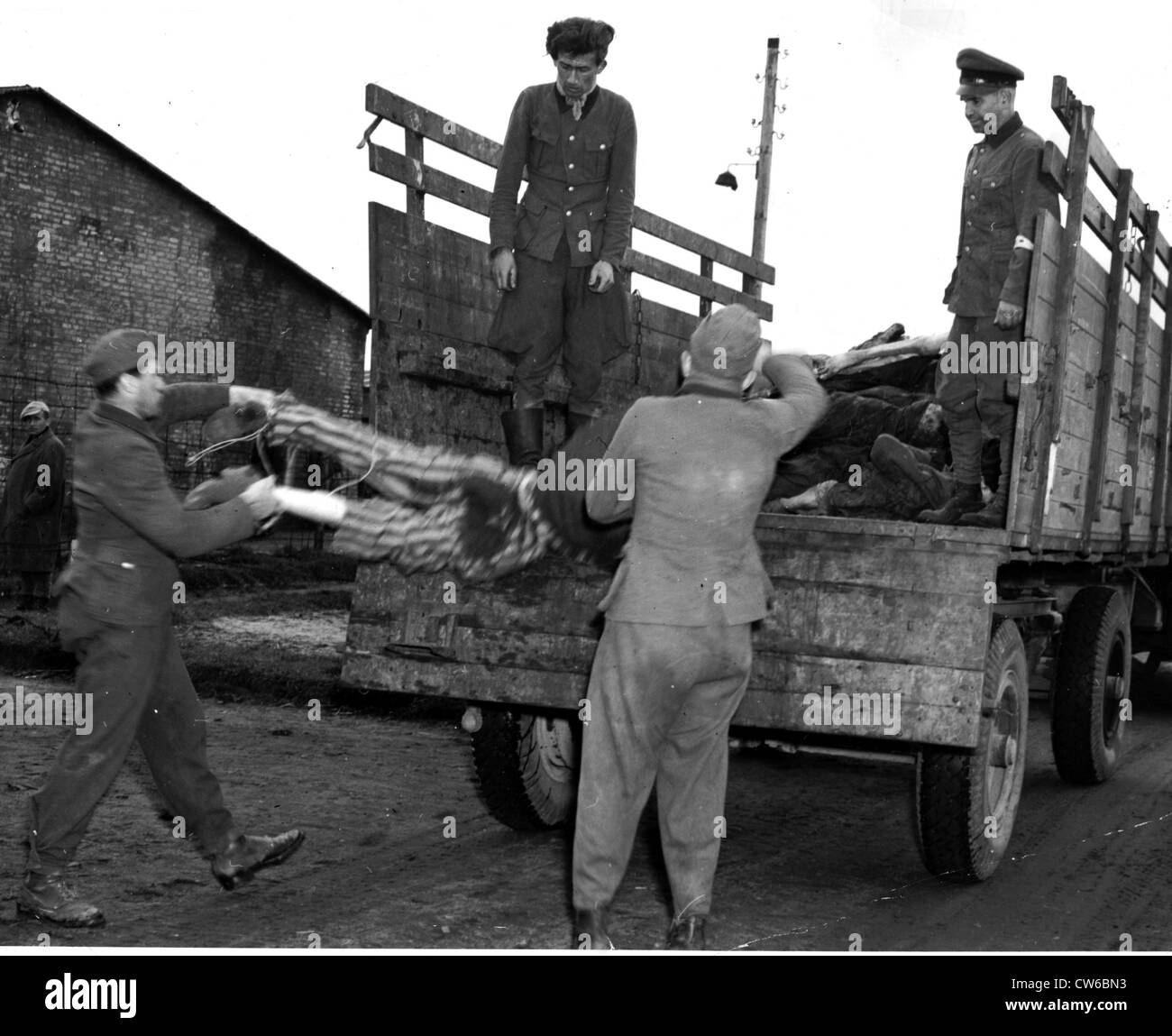 S.S. allemand troopers charger les victimes de Nazis pour l'enterrement au camp de Bergen-Belsen (Allemagne) Avril 28,1945 Banque D'Images