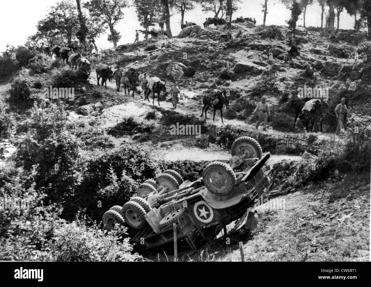 Cinquième armée utilise mules près de la ligne Gothique, Italie, septembre 1944 Banque D'Images