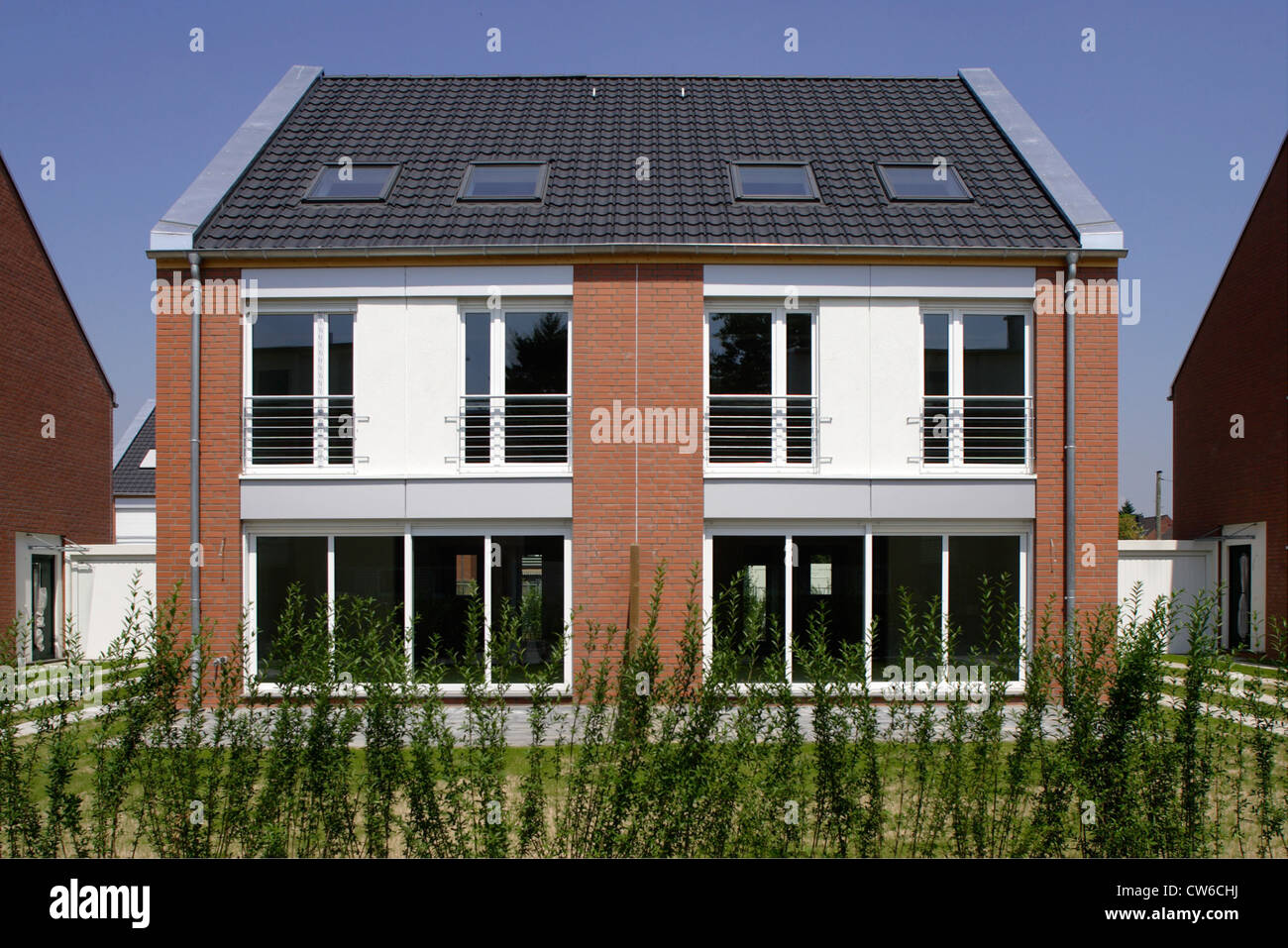 Nouvelle colonie de peuplement Banque D'Images