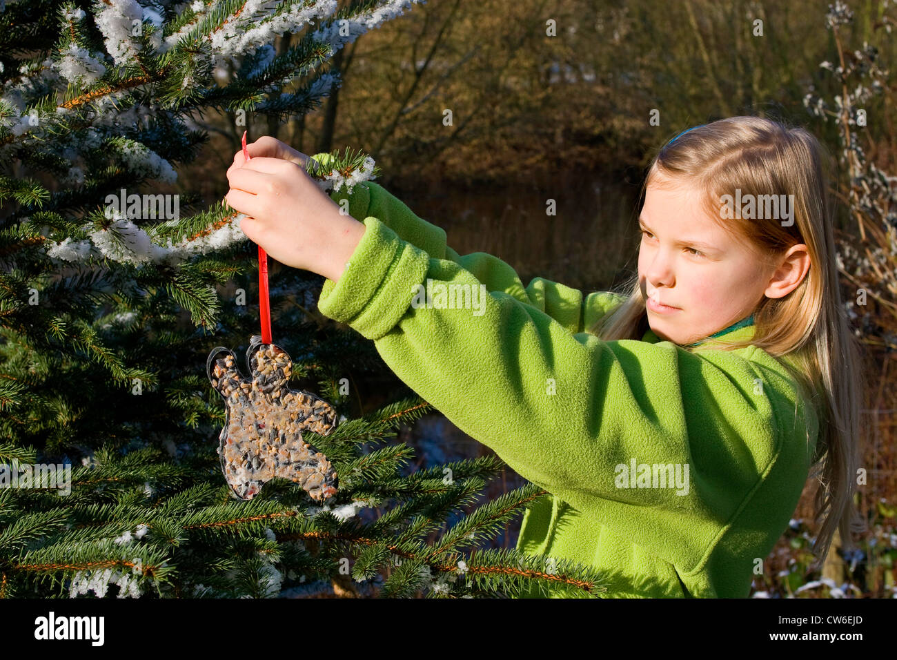 Girl décore un arbre de Noël dans le jardin avec l'alimentation des oiseaux Banque D'Images