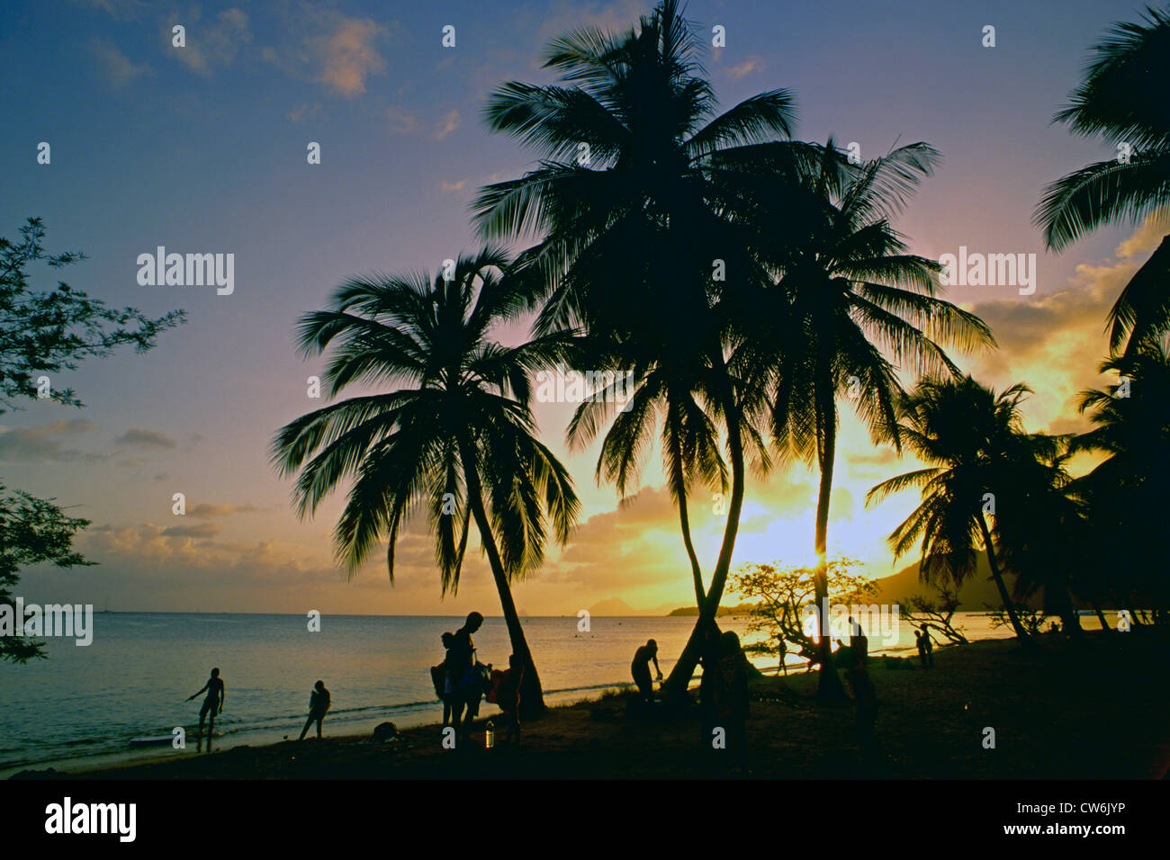 La plage Martinique Banque D'Images