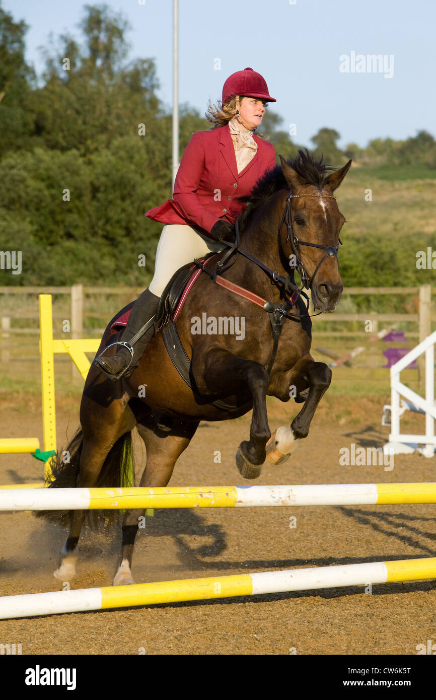Un cheval et cavalier sautant une clôture au cours d'une compétition de saut Banque D'Images