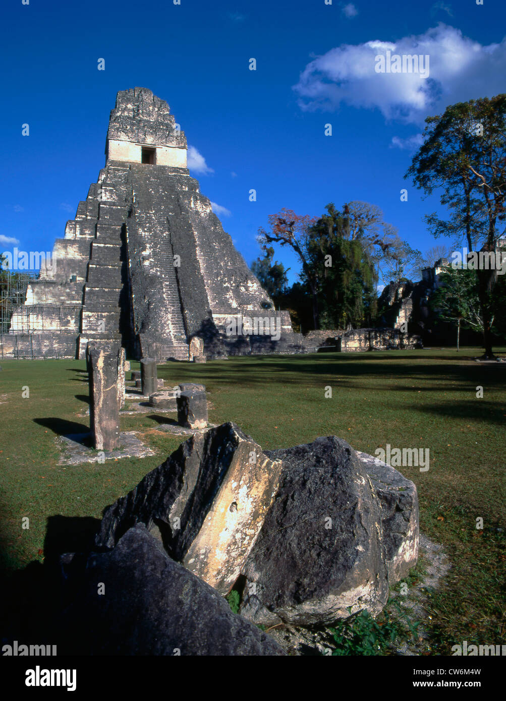 Tikal Guatemala Banque D'Images