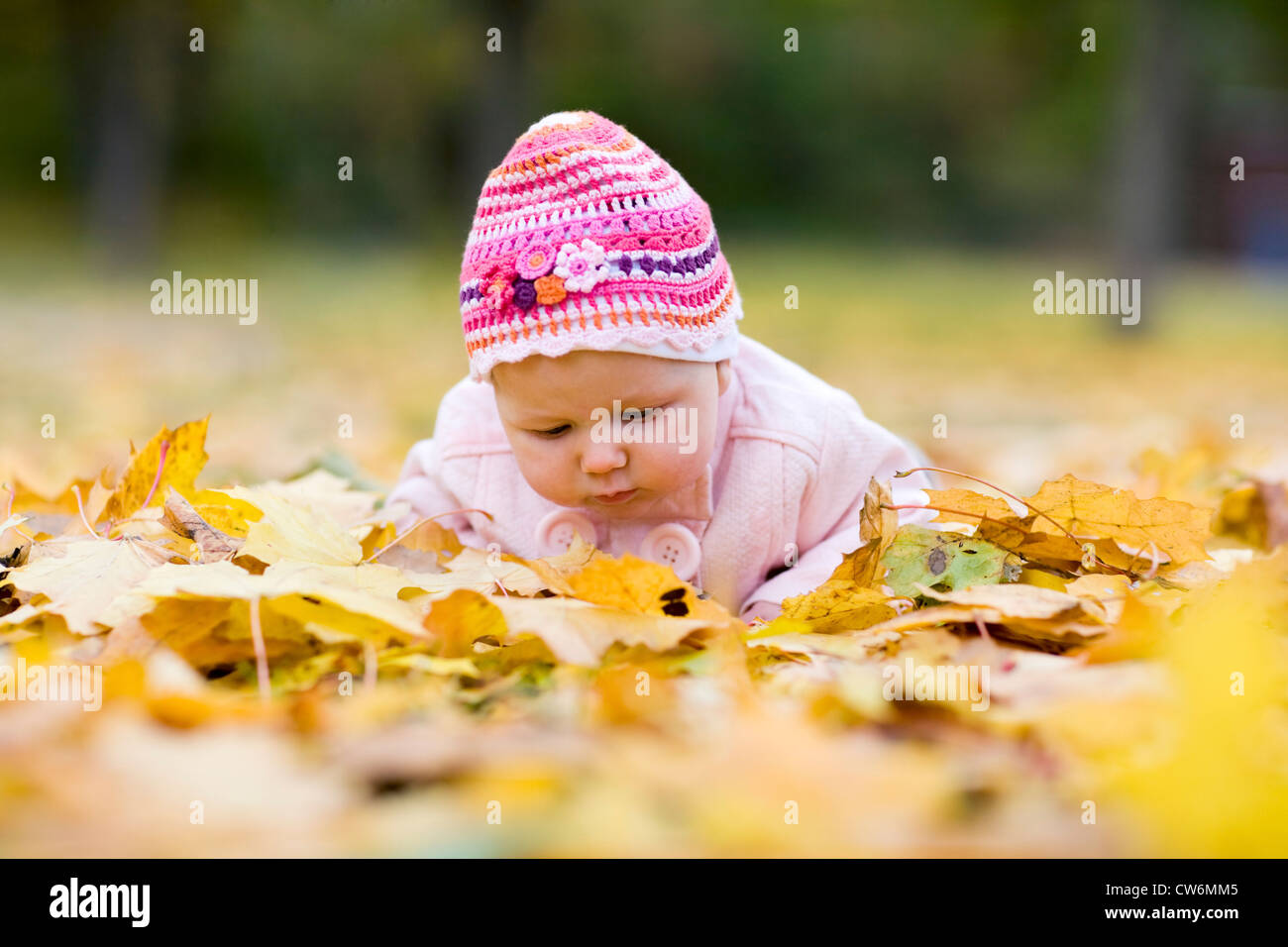 Cute 3-mois baby girl en tombée feuilles jaunes Banque D'Images